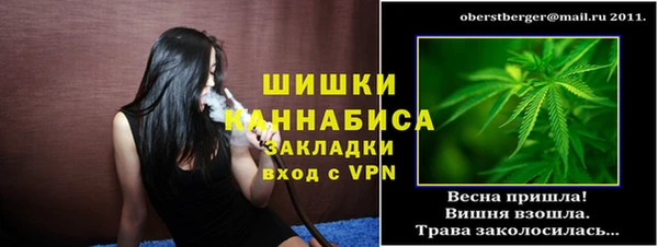 крисы Верея