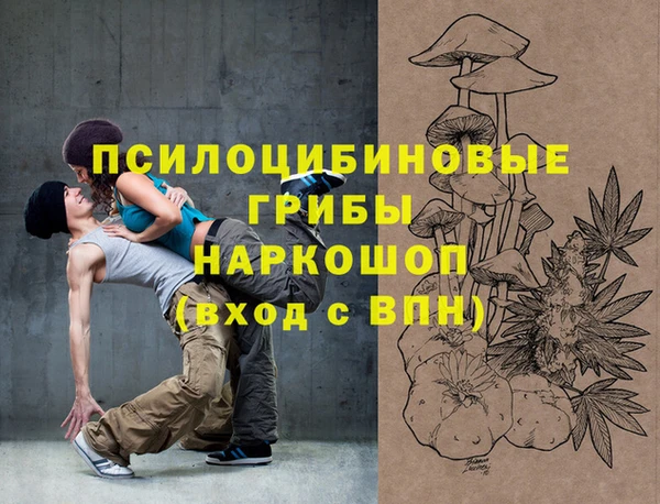крисы Верея