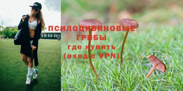 2c-b Верхний Тагил