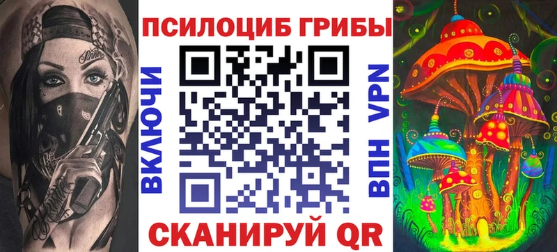 наркота  Горячеводский  Галлюциногенные грибы Psilocybe 